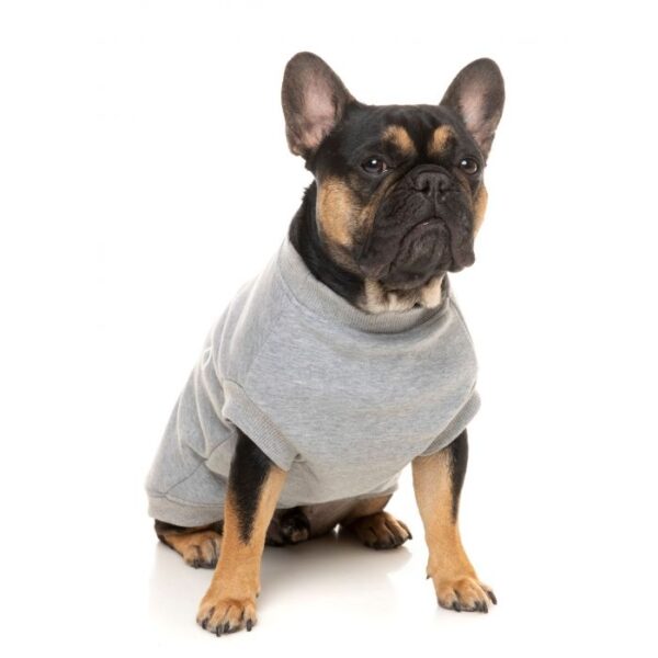 FuzzYard Street Sweater - Image 6