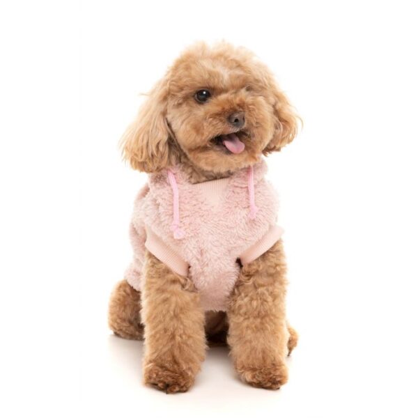 FuzzYard Ready Teddy Hoodie - Image 2