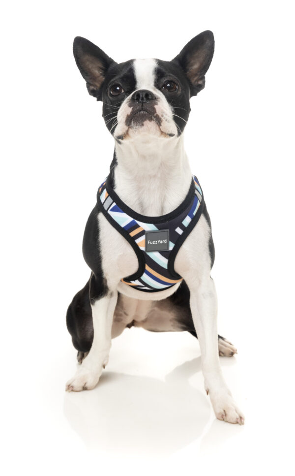 FuzzYard Step In Harness - Sonic - Image 6