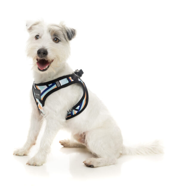FuzzYard Step In Harness - Sonic - Image 5