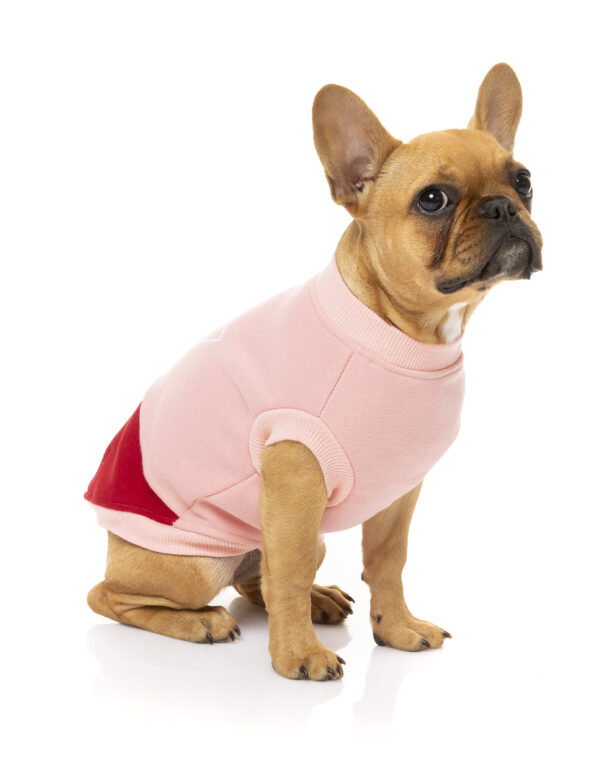 FuzzYard Track Sweater